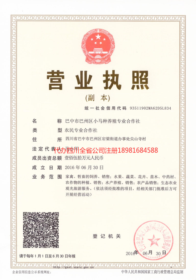 阿拉善盟阿拉善盟小马种养殖专业合作社